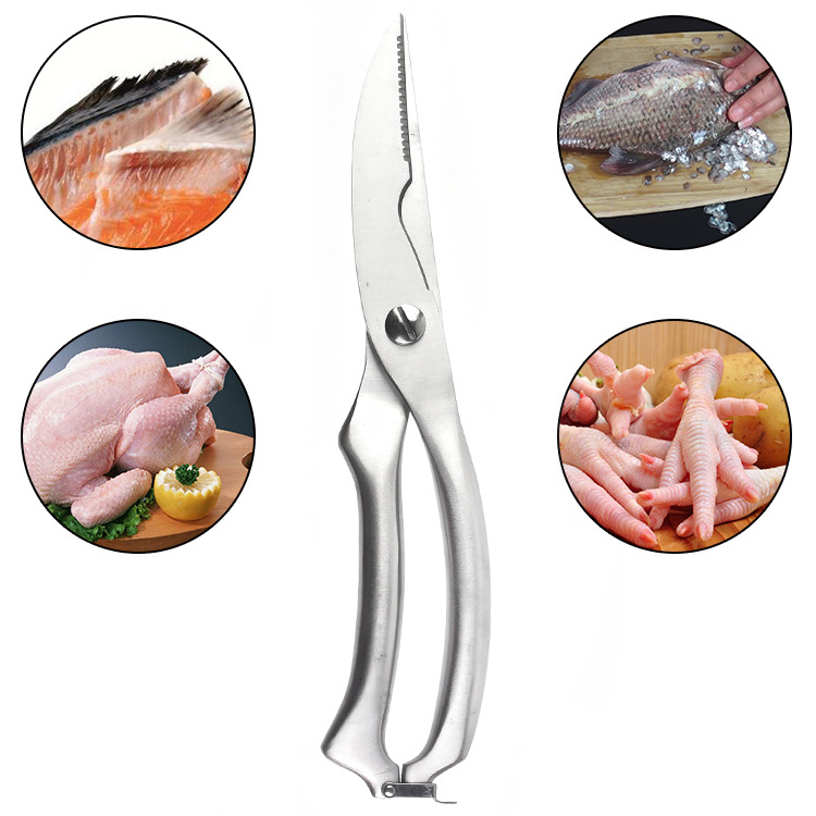 Stainless Steel Poultry Kitche - Kitchen Gadgets Cutting Tools ulasan dan harga