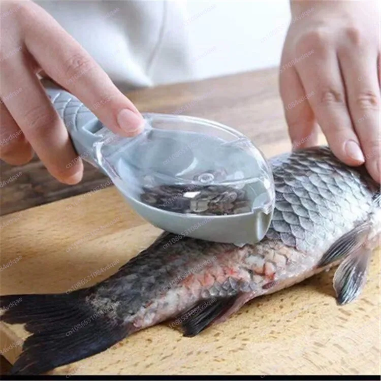 Popular Fish Scale Scraping Ar - Kitchen Gadgets Popular ulasan dan harga