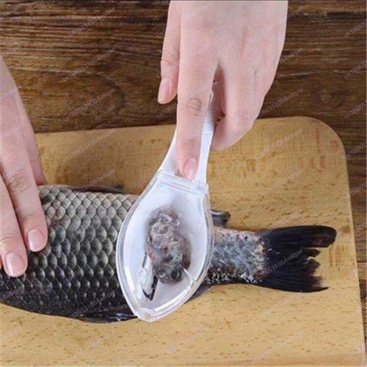 Popular Fish Scale Scraping Ar - Kitchen Gadgets Popular ulasan dan harga