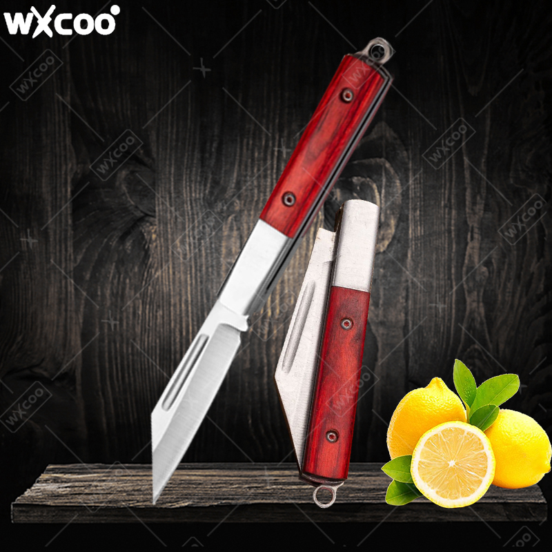 Stainless Steel Pocket Knife R - Kitchen Handy Gadgets ulasan dan harga