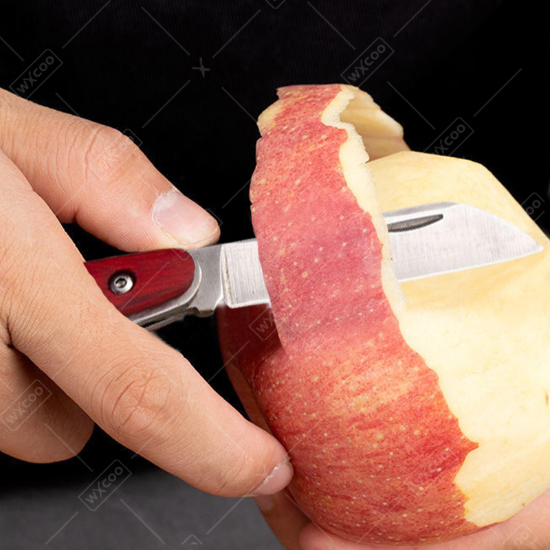 Stainless Steel Pocket Knife R - Kitchen Handy Gadgets ulasan dan harga