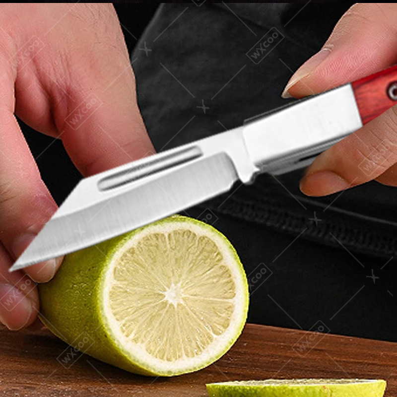 Stainless Steel Pocket Knife R - Kitchen Handy Gadgets ulasan dan harga